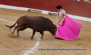 matador with pink cape