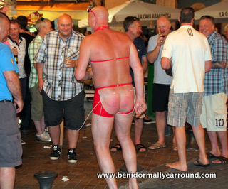 red thonged stag